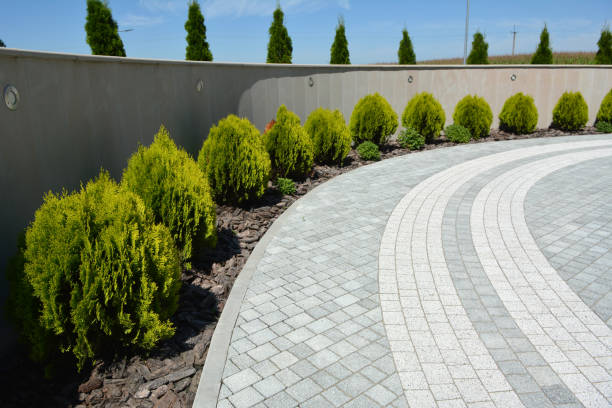 Best Driveway Resurfacing Pavers  in Torrington, WY